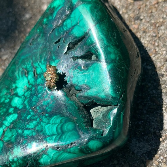 Bvla snowflake - Picture 3 of 3